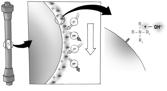 Phương pháp định lượng na2so4 bằng sắc ký trao đổi ion hiệu quả