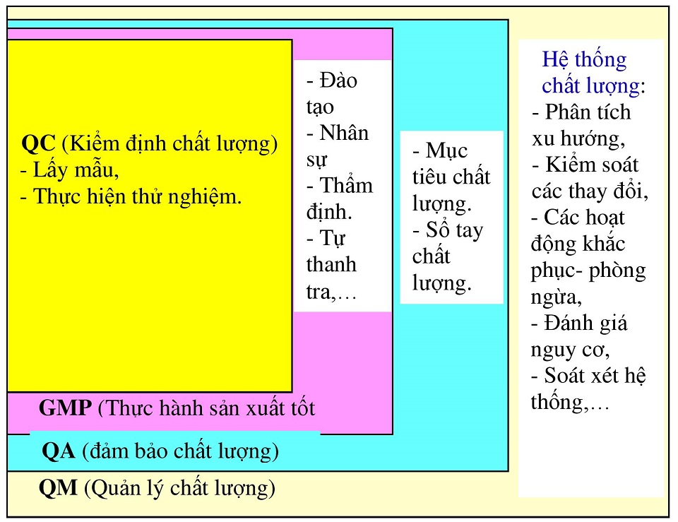 Viện Kiểm Định Quốc Gia Vắc Xin Và Sinh Phẩm Y Tế